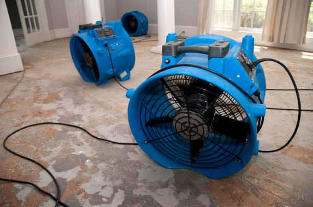 Best Flood restoration services  in Salmon, ID