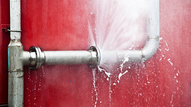  Salmon, ID Water damage restoration Pros